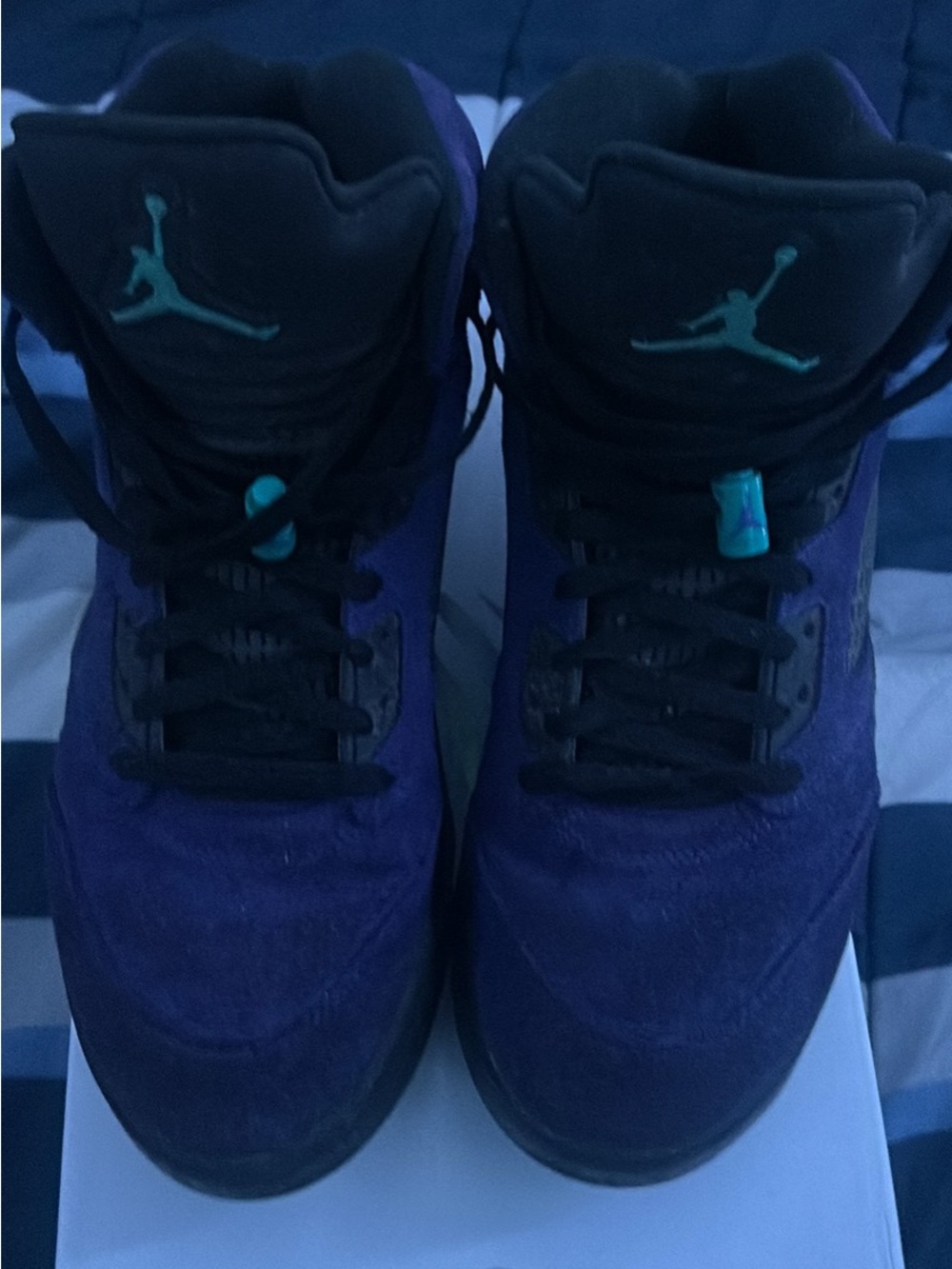 Air Jordan 5 retro alternate grape